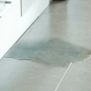 Appliance-Leak-1920w